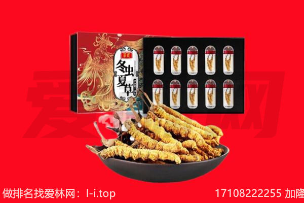 广元市利州回收虫草.jpg